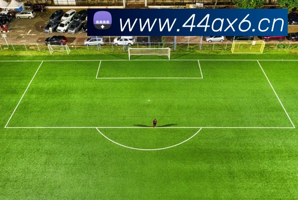 九游体育娱乐最新网站发展历程